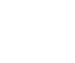 horse-icon-white